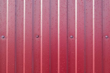 Çapraz metal profil deseni. Polimerik kaplama ile boyanmış galvanizli demirin telleri..