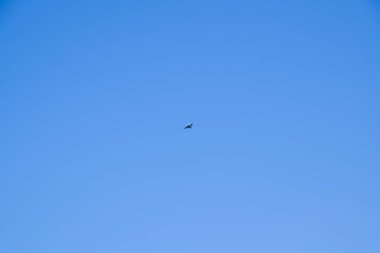 Mavi gökyüzünde avcı. Bir uçak uçan.