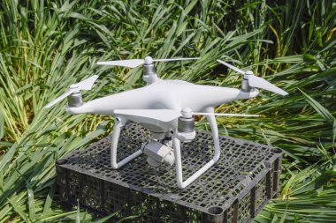 Plastik bir kutu çimlerin üzerinde quadrocopters