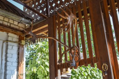 Ahşap geyik boynuzu. Duvar dekorasyon.