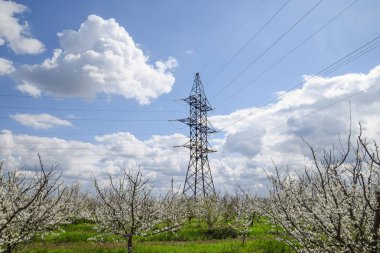 Çiçekli Erik Bahçe iletim kulesi