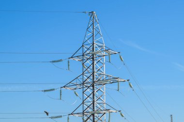 Yüksek voltajlı elektrik hatları mavi gökyüzü destekler