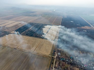 Yanan saman alanlarındaki