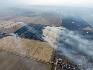 Buğday ürün hasat sonra alanları yanan saman