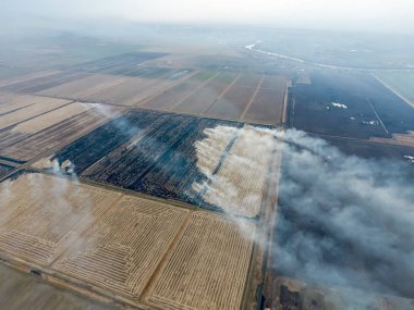 Buğday ürün hasat sonra alanları yanan saman