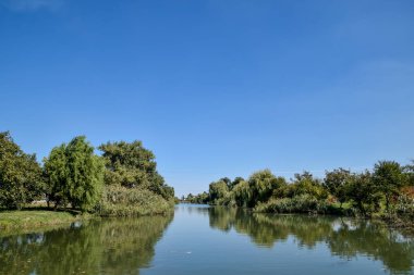 Poltava Yerik. Manzara nehir, su ve ağaçlar