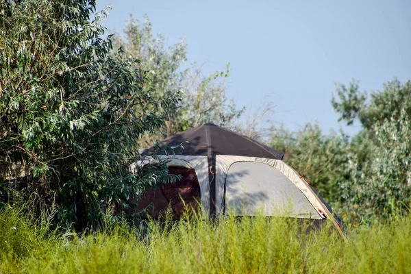 Tenda Turistica Sotto Albero Campeggio Turistico Tenda Multipla — Foto Stock