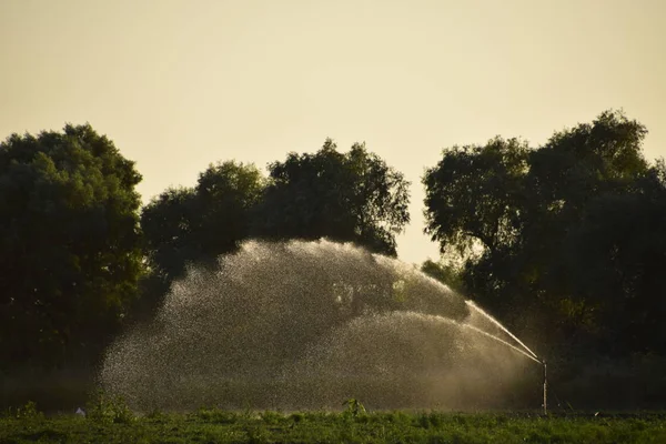 Irrigatiesysteem Gebied Van Meloenen Velden Drenken Sprinkler — Stockfoto