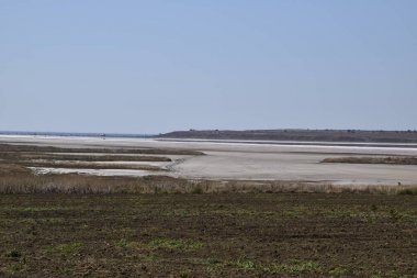 Tuz Gölü yakınındaki üzüm bağları. Üzüm Ekim manzara.