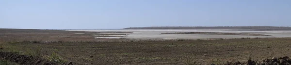 Vinhedos Perto Lago Salgado Paisagem Plantação Uvas — Fotografia de Stock