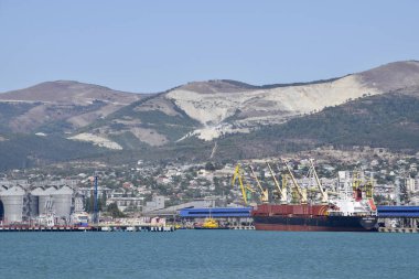 Kargo bağlantı noktası bağlantı noktası ile vinç. Deniz defne ve dağlık sahil.