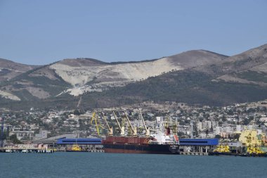 Kargo bağlantı noktası bağlantı noktası ile vinç. Deniz defne ve dağlık sahil.