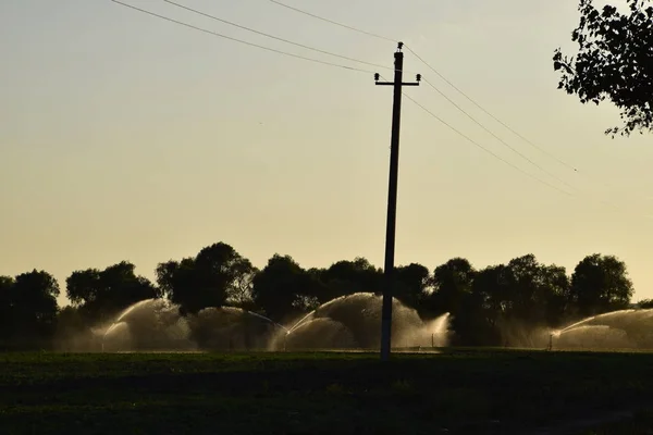 Sistema Irrigazione Campo Meloni Annaffiare Campi Irrigatore — Foto Stock