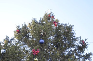 Süslemeleri yılbaşı ağacı. Tinsel ve oyuncaklar, topları ve diğer süslemeleri Noel Noel ayakta açık havada ağaç.