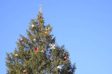 Süslemeleri yılbaşı ağacı. Tinsel ve oyuncaklar, topları ve diğer süslemeleri Noel Noel ayakta açık havada ağaç.