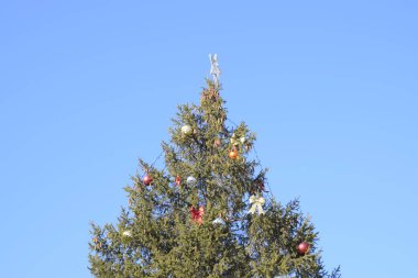 Süslemeleri yılbaşı ağacı. Tinsel ve oyuncaklar, topları ve diğer süslemeleri Noel Noel ayakta açık havada ağaç.