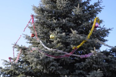 Süslemeleri yılbaşı ağacı. Tinsel ve oyuncaklar, topları ve diğer süslemeleri Noel Noel ayakta açık havada ağaç.