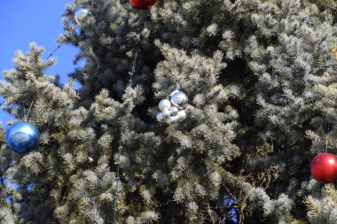 Süslemeleri yılbaşı ağacı. Tinsel ve oyuncaklar, topları ve diğer süslemeleri Noel Noel ayakta açık havada ağaç.