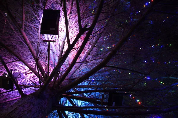 Iluminando Árvore Natal Dentro Brinquedos Natal Nocturnos Vestida Árvore Natal — Fotografia de Stock