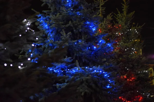 Νύχτα Χριστουγέννων Παιχνίδια Ντύνεται Χριστουγεννιάτικο Δέντρο Στο Δρόμο — Φωτογραφία Αρχείου