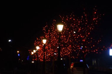 Kırmızı ışıklar ile süslenmiş sokak ağaçlarının dalları.