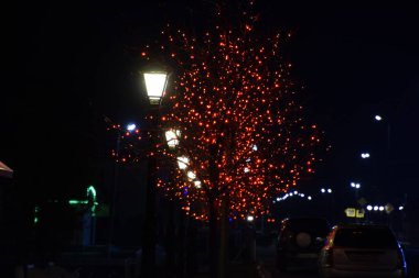 Kırmızı ışıklar ile süslenmiş sokak ağaçlarının dalları.