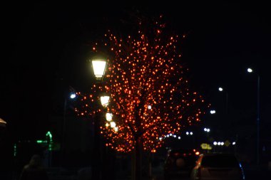 Kırmızı ışıklar ile süslenmiş sokak ağaçlarının dalları.