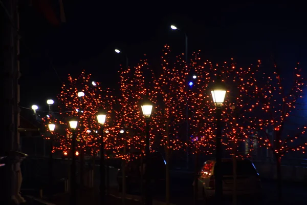 Die Zweige Der Straßenbäume Geschmückt Mit Roten Lichtern — Stockfoto
