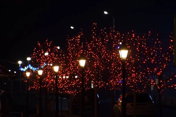 Rami Degli Alberi Strada Ornati Luci Rosse — Foto Stock