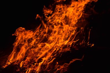 Ateşle. Geceleri pirinç kamışı yakmak.