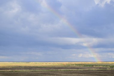 Gökkuşağı, peyzaj alanında bir görünüm. Oluşumu 
