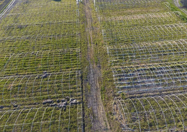 Rahmen von Gewächshäusern, Draufsicht. Bau von Gewächshäusern auf dem Feld. Landwirtschaft, Agrotechnik des geschlossenen Bodens — Stockfoto