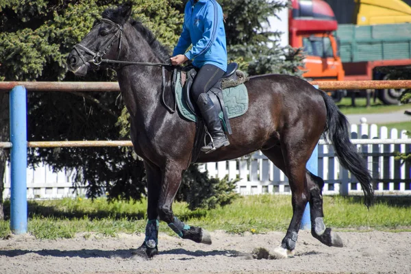 Esportes equestres com adolescentes. Clube de Cavalos. Uma menina está montando um cavalo . — Fotografia de Stock