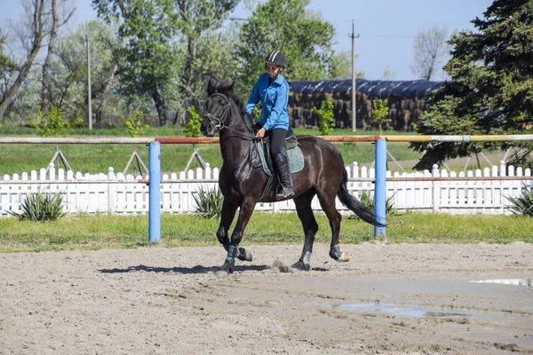 10 代の若者と馬術スポーツ。乗馬クラブ。女の子が馬に乗ってください。. — ストック写真