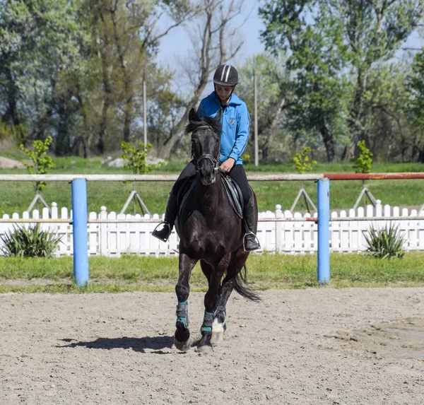Esportes equestres com adolescentes. Clube de Cavalos. Uma menina está montando um cavalo . — Fotografia de Stock
