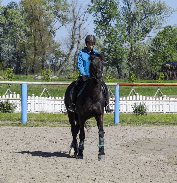 10 代の若者と馬術スポーツ。乗馬クラブ。女の子が馬に乗ってください。. — ストック写真