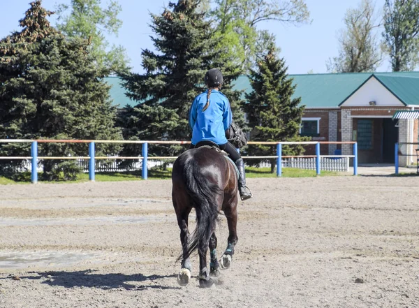 Pferdesport mit Jugendlichen. Pferdeclub. ein Mädchen reitet auf einem Pferd. — Stockfoto