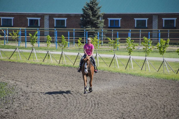 Esportes equestres com adolescentes. Clube de Cavalos. Uma menina está montando um cavalo . — Fotografia de Stock