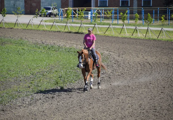 俄罗斯克拉斯诺达尔 2017 马术运动的青少年 马俱乐部 一个女孩正骑一匹马 — 图库照片
