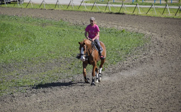 Pferdesport mit Jugendlichen. Pferdeclub. ein Mädchen reitet auf einem Pferd. — Stockfoto