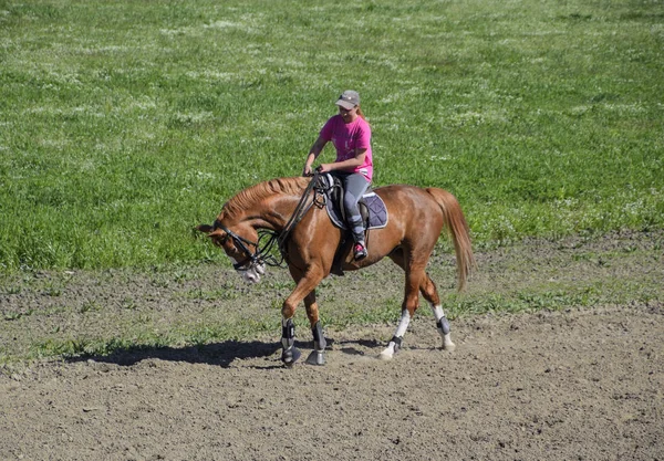 Krasnodar Federacja Rosyjska Kwietnia 2017 Jeździectwo Sporty Nastolatków Horse Club — Zdjęcie stockowe