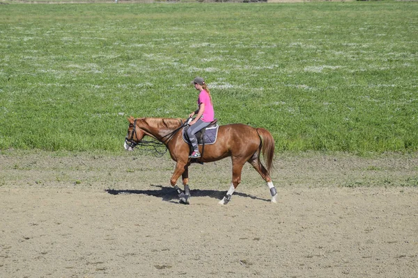 Krasnodar Federacja Rosyjska Kwietnia 2017 Jeździectwo Sporty Nastolatków Horse Club — Zdjęcie stockowe