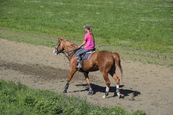 Krasnodar Rusland April 2017 Paardensport Sport Met Tieners Horse Club — Stockfoto