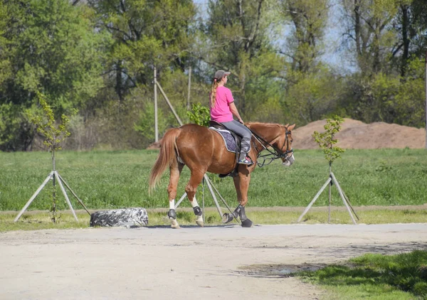 Krasnodar Rússia Abril 2017 Esportes Equestres Com Adolescentes Clube Cavalos — Fotografia de Stock