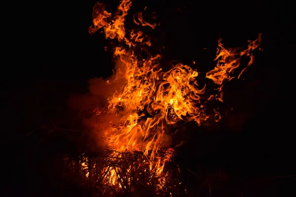 Bruciatura di paglia di riso di notte . — Foto Stock