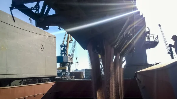 Precipitation Grain Car Hold Tanker Grain Filling Cargo Compartment Ship — Stock Photo, Image