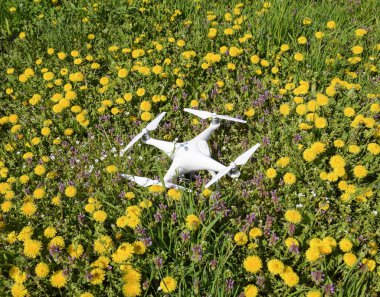 Krasnodar, Rusya Federasyonu - 14 Nisan 2017: Karahindiba çiçekli bir takas Quadrocopter ile DJI indeks işlem Phantom 4 açıktır.