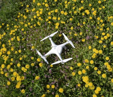 Krasnodar, Rusya Federasyonu - 14 Nisan 2017: Karahindiba çiçekli bir takas Quadrocopter ile DJI indeks işlem Phantom 4 açıktır.