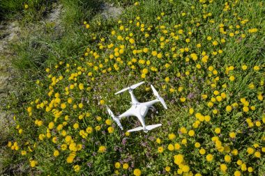 Krasnodar, Rusya Federasyonu - 14 Nisan 2017: Karahindiba çiçekli bir takas Quadrocopter ile DJI indeks işlem Phantom 4 açıktır.