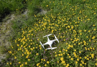 Krasnodar, Rusya Federasyonu - 14 Nisan 2017: Karahindiba çiçekli bir takas Quadrocopter ile DJI indeks işlem Phantom 4 açıktır.
